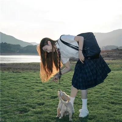洛城英豪
